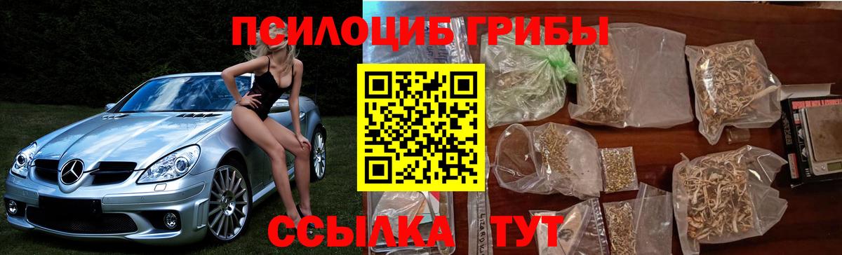 Псилоцибиновые грибы ЛСД  Галлюциногенные грибы мухоморы  Новокузнецк  Вход с VPN 